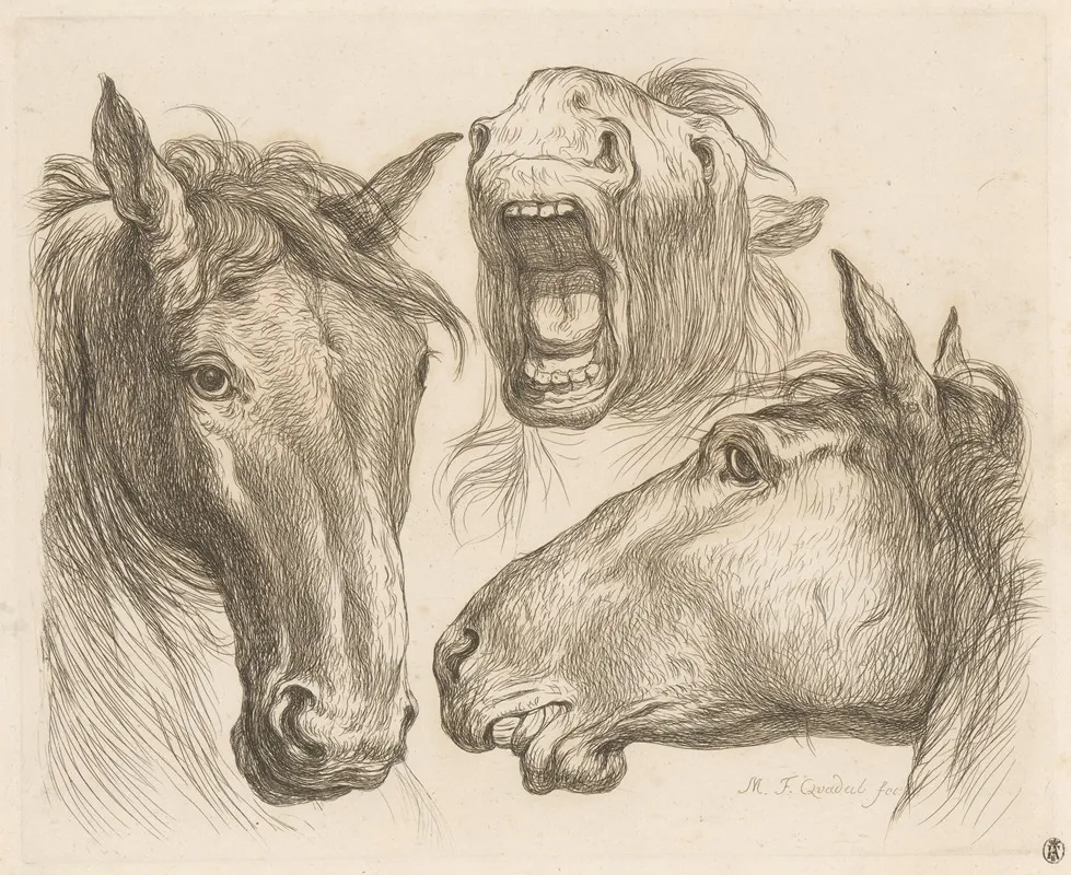 Three Horse Heads Wall Art by Martin Ferdinand Quadal - High-Resolution Digital Print