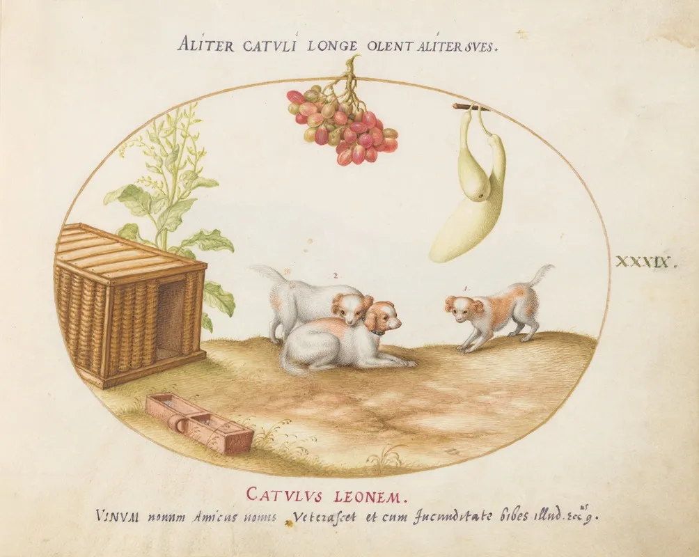Three Puppies With A Crate And A Bunch Of Grapes