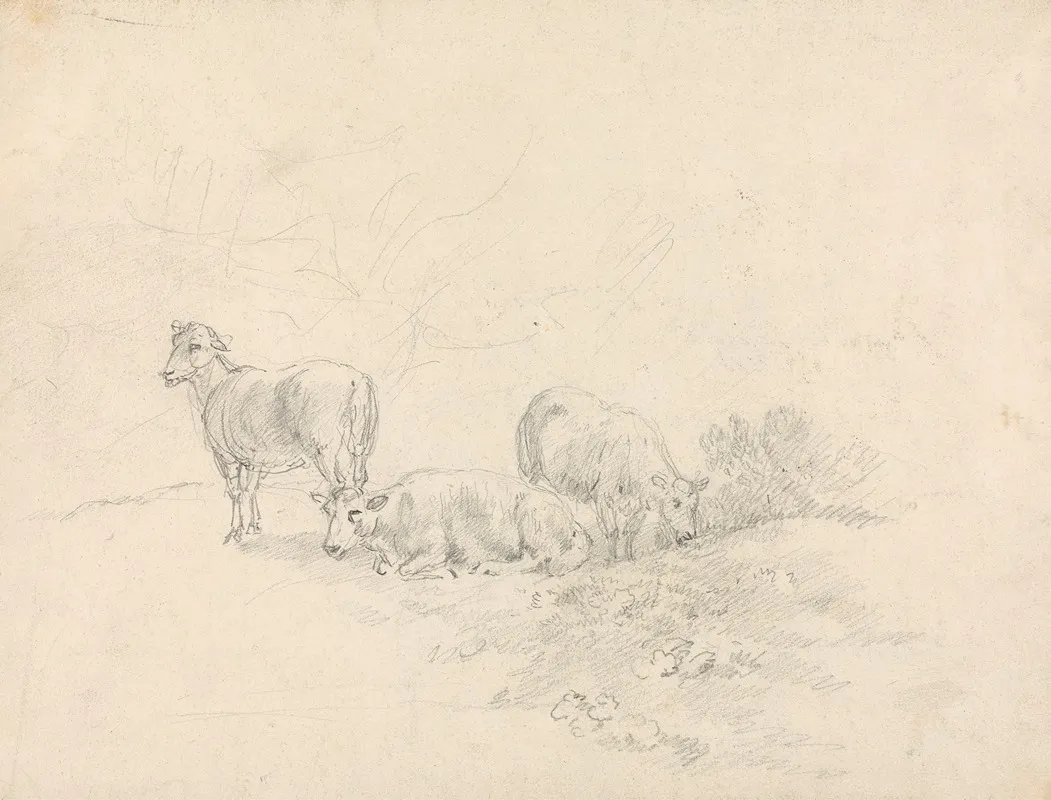 Three Sheep 2