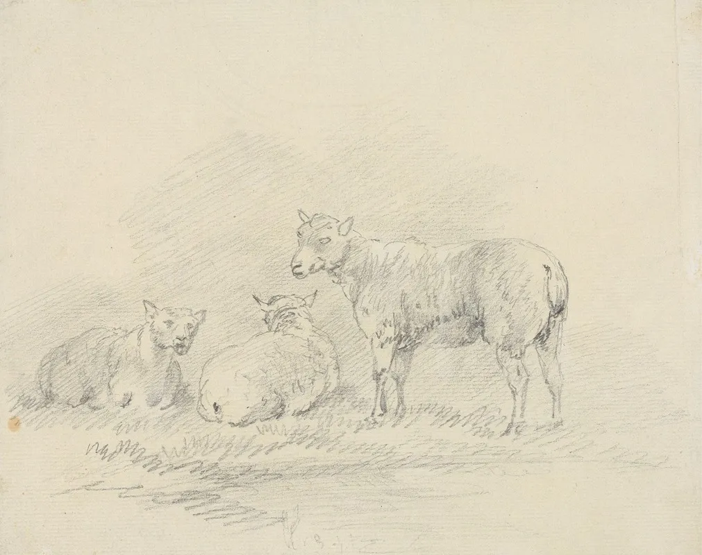 Three Sheep