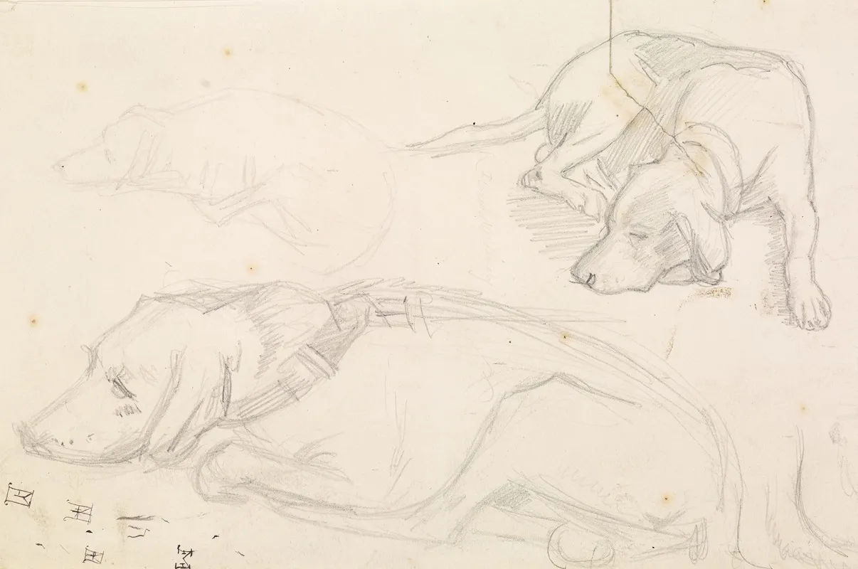Three Studies Of A Sleeping Dog Wall Art by Sir John Everett Millais - High-Resolution Digital Print