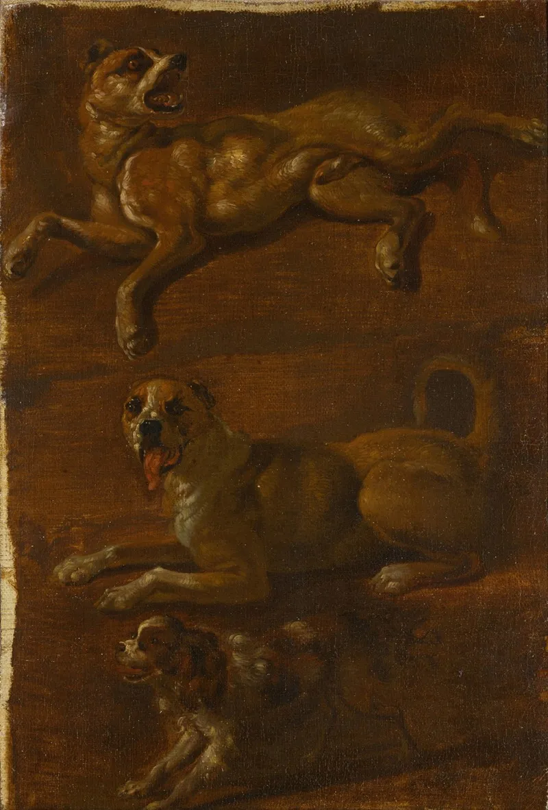 Three Studies Of Dogs