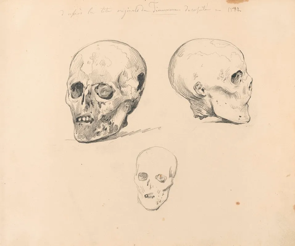 Three Studies Of The Skull Of Jacobean Antonio Timmerman From Dunkirk