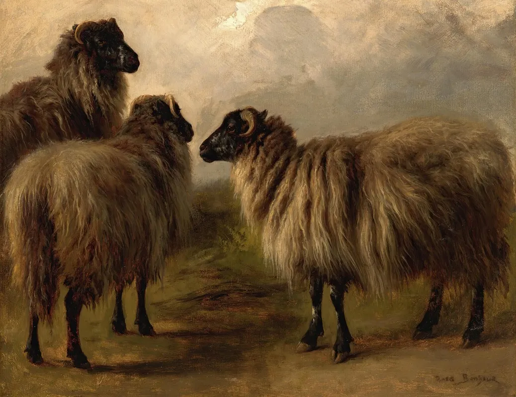 Three Wooly Sheep Wall Art by Rosa Bonheur - High-Resolution Digital Print