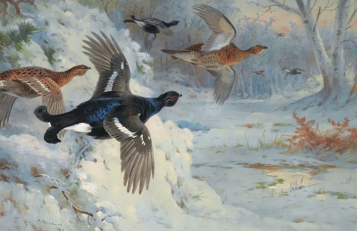 Through The Snowy Coverts Blackgame Wall Art by Archibald Thorburn - High-Resolution Digital Print