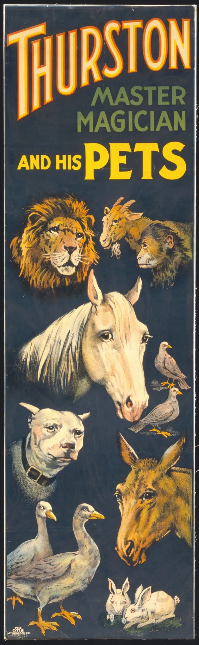 Thurston Master Magician And His Pets Wall Art by The Otis Lithograph Co. - High-Resolution Digital Print