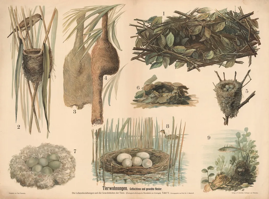 Tierwohnungen Geflochtene Und Gewebte Nester Wall Art by Paul Flanderky - High-Resolution Digital Print