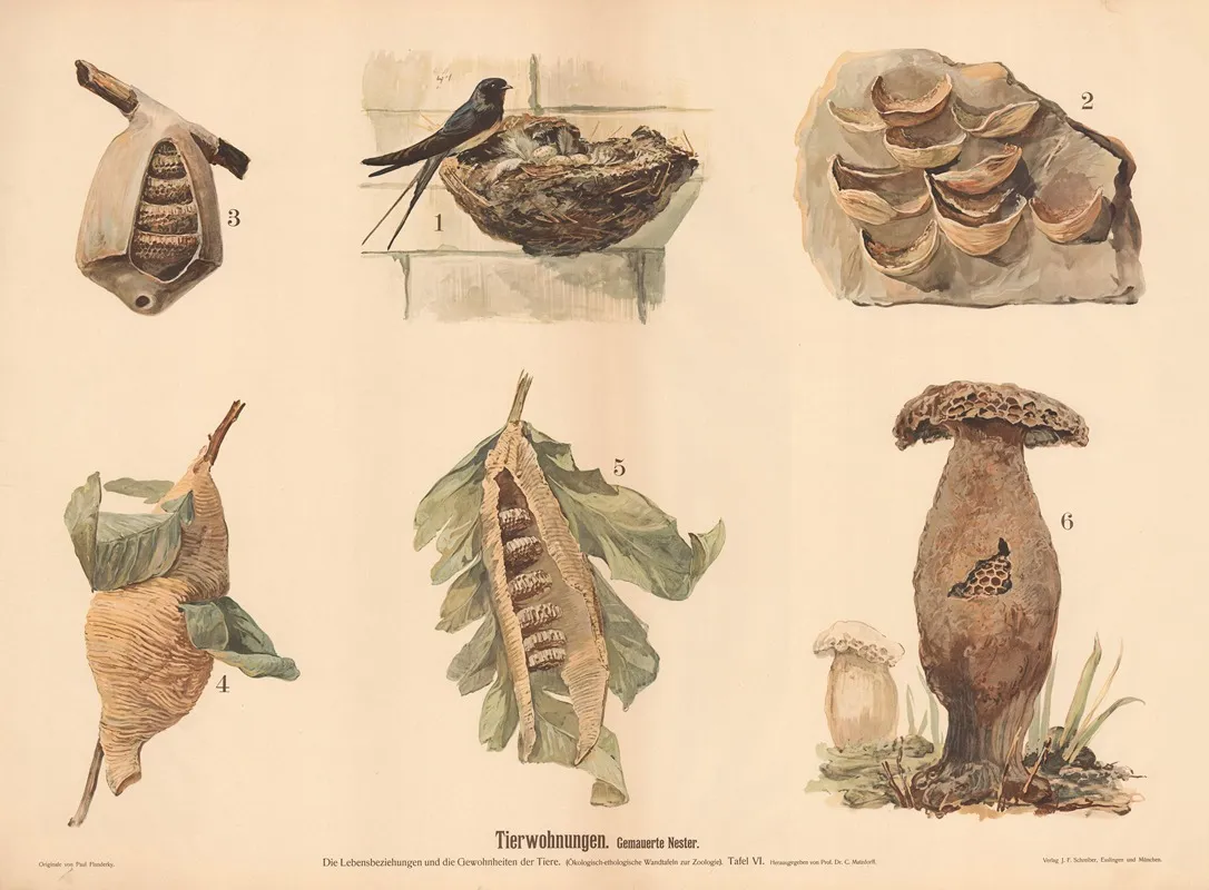Tierwohnungen Gemauerte Nester Die Lebensbeziehungen Und Gewohnheiten Der Tiere Wall Art by Paul Flanderky - High-Resolution Digital Print