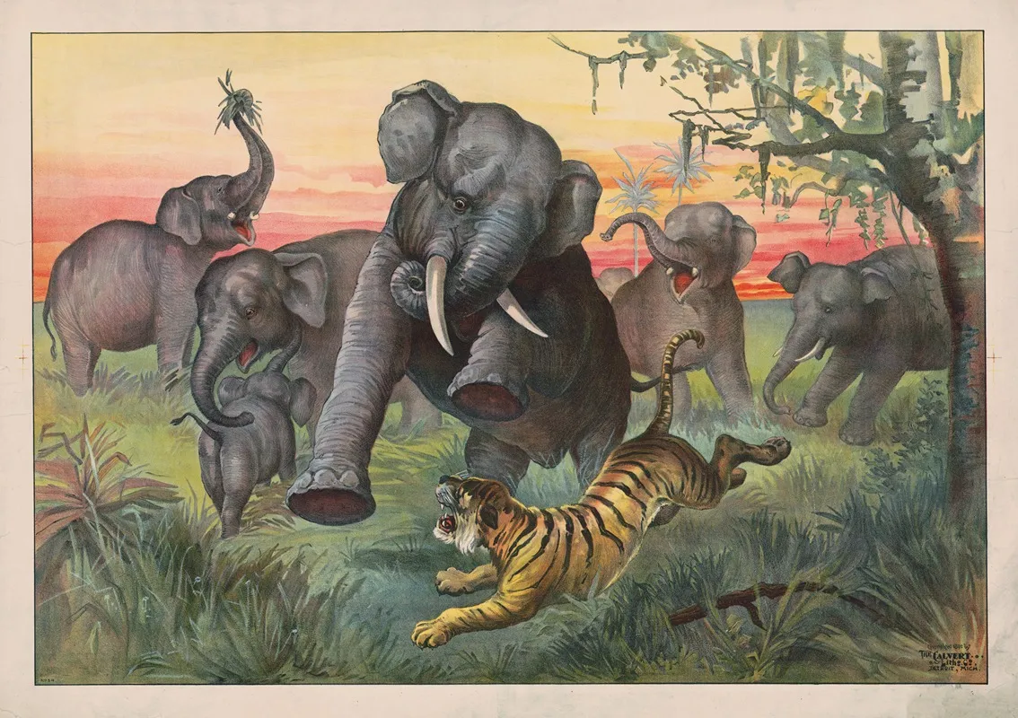 Tiger Attacking Herd Of Wild Elephants Wall Art by Calvert Litho. Co - High-Resolution Digital Print