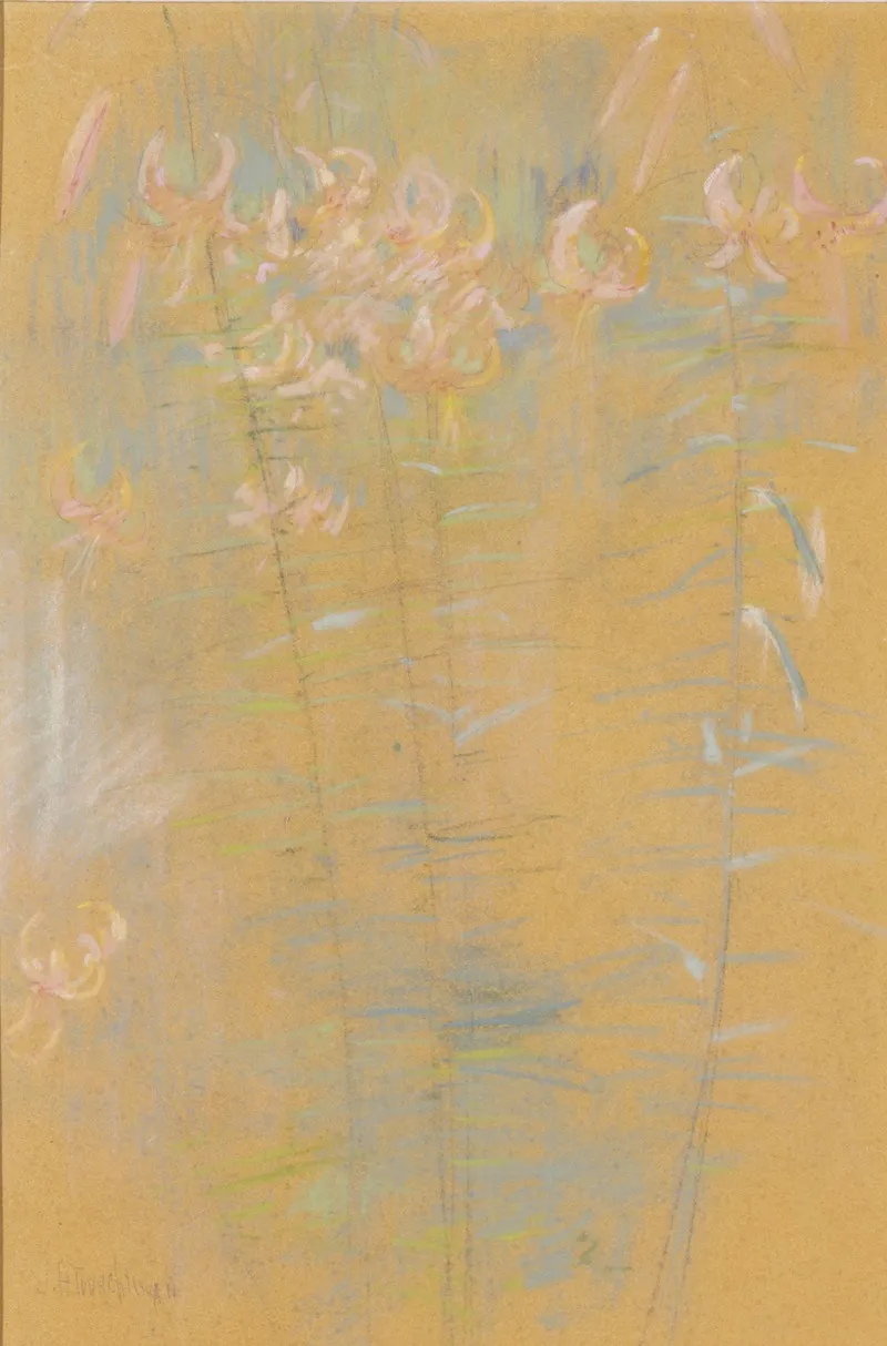 Tiger Lilies