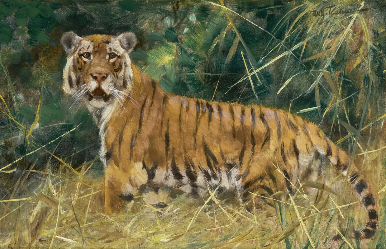 Tiger On The Alert Wall Art by Wilhelm Kuhnert - High-Resolution Digital Print