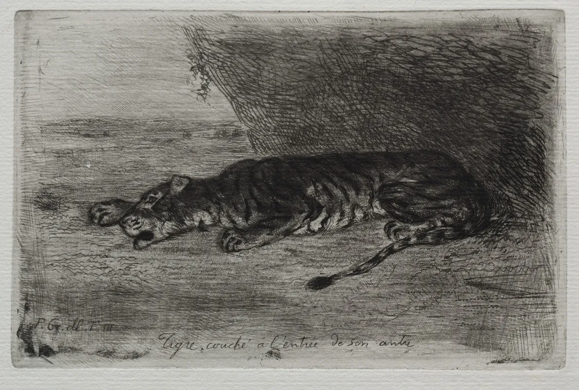Tiger Sleeping At The Entrance To His Lair