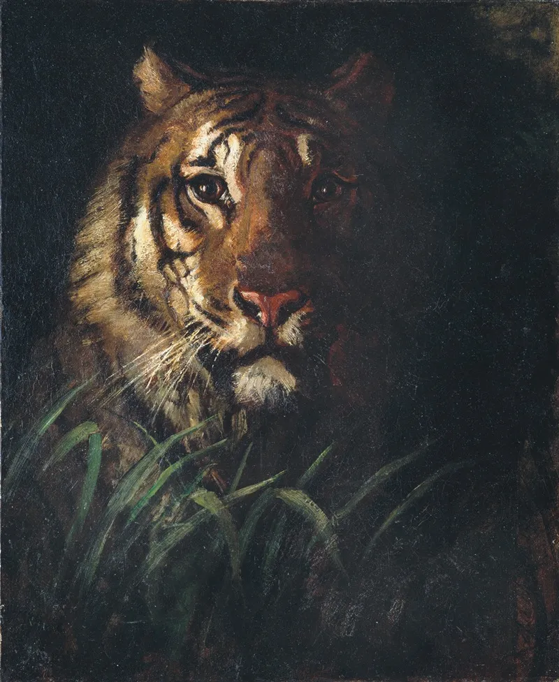 Tigers Head