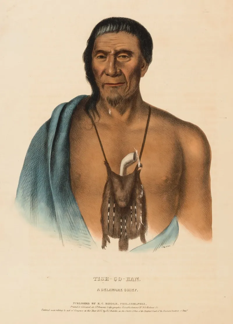 Tish Co Han A Delaware Chief
