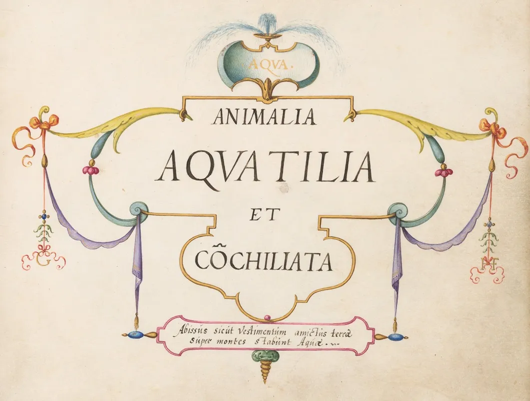 Title Page Animalia Aqvatilia Et Cochiliata Aqva