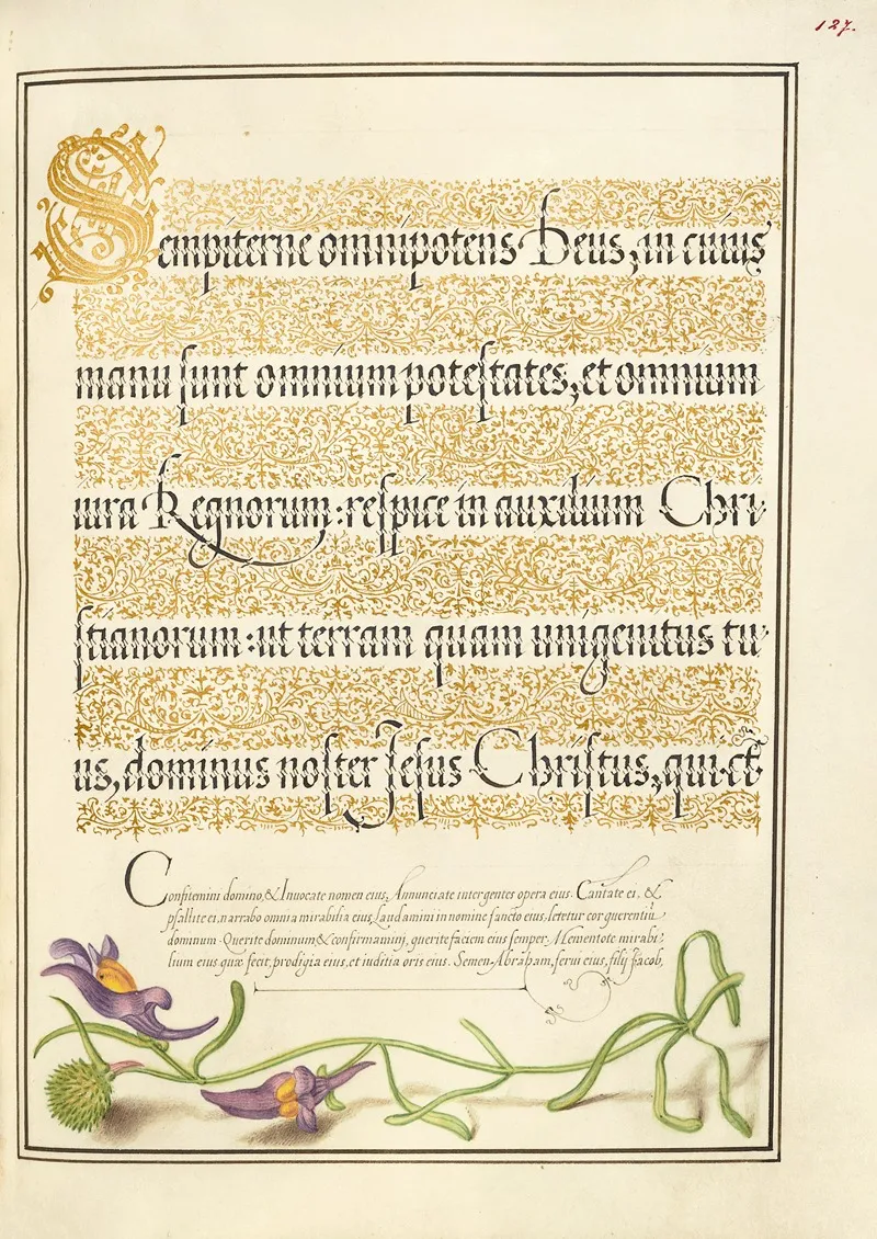Toadflax