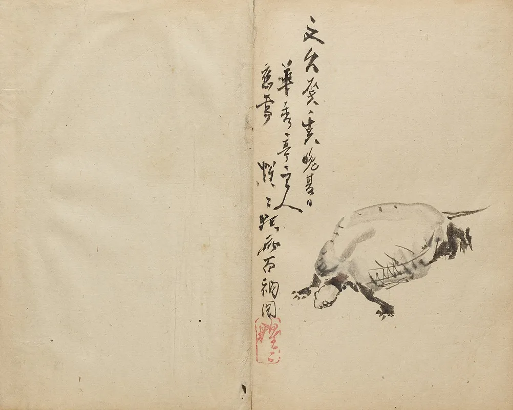 Tortoise