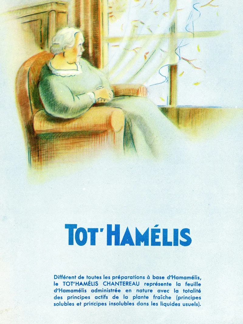 Tothamelis 7 Wall Art by Laboratoire Chantereau - High-Resolution Digital Print