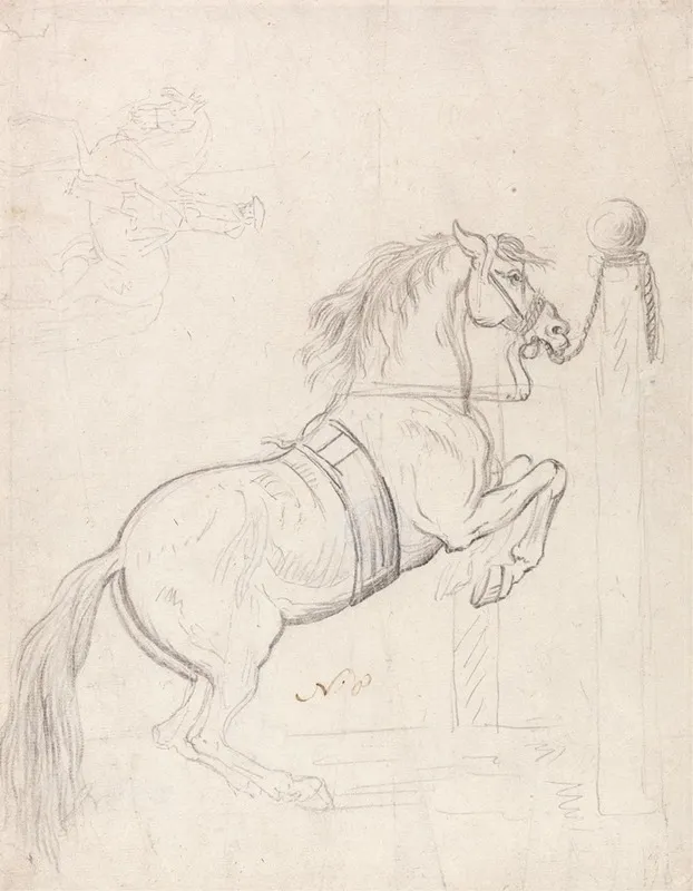 Training At The Pillar Horse Wearing Bridle And Surcingle