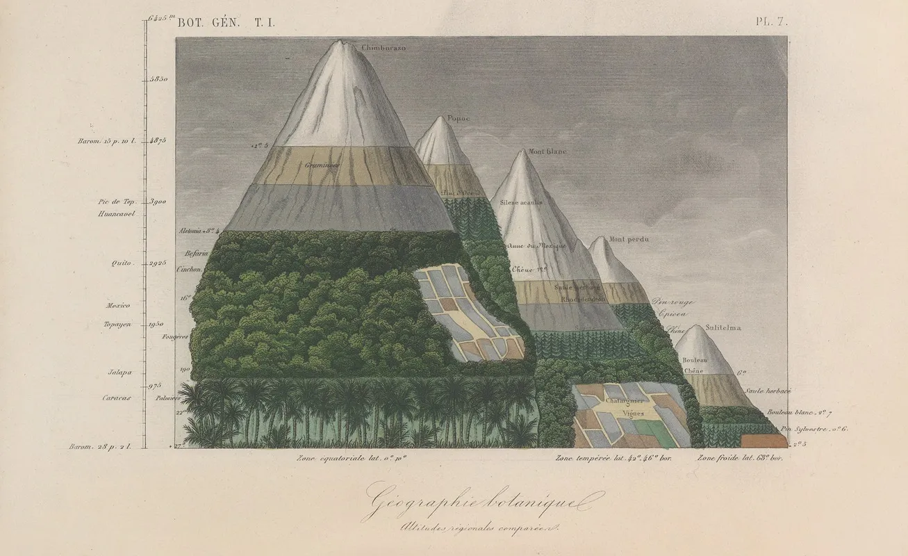 Traite De Botanique Generale Pl 007 Wall Art by François Hérincq - High-Resolution Digital Print
