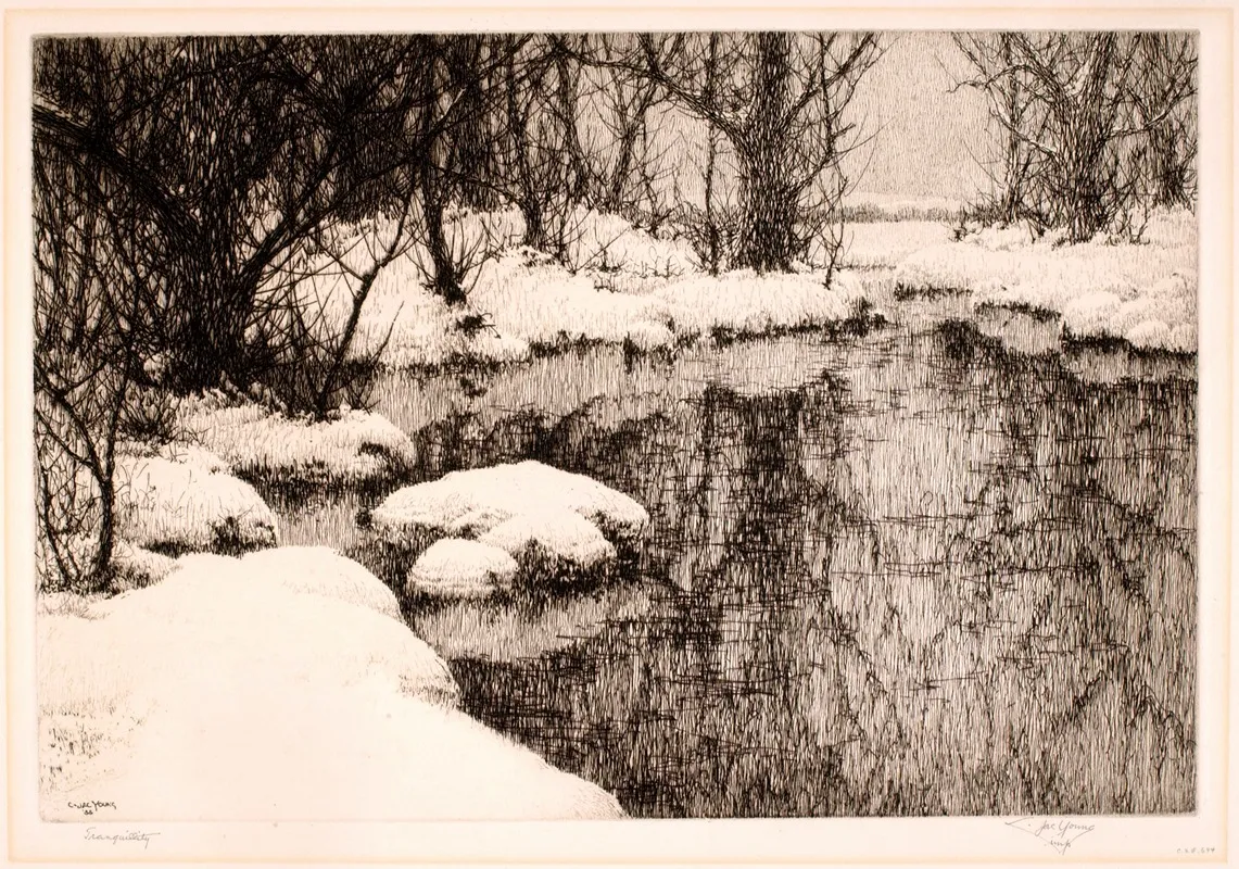 Tranquility 2 Wall Art by C. Jac Young - High-Resolution Digital Print