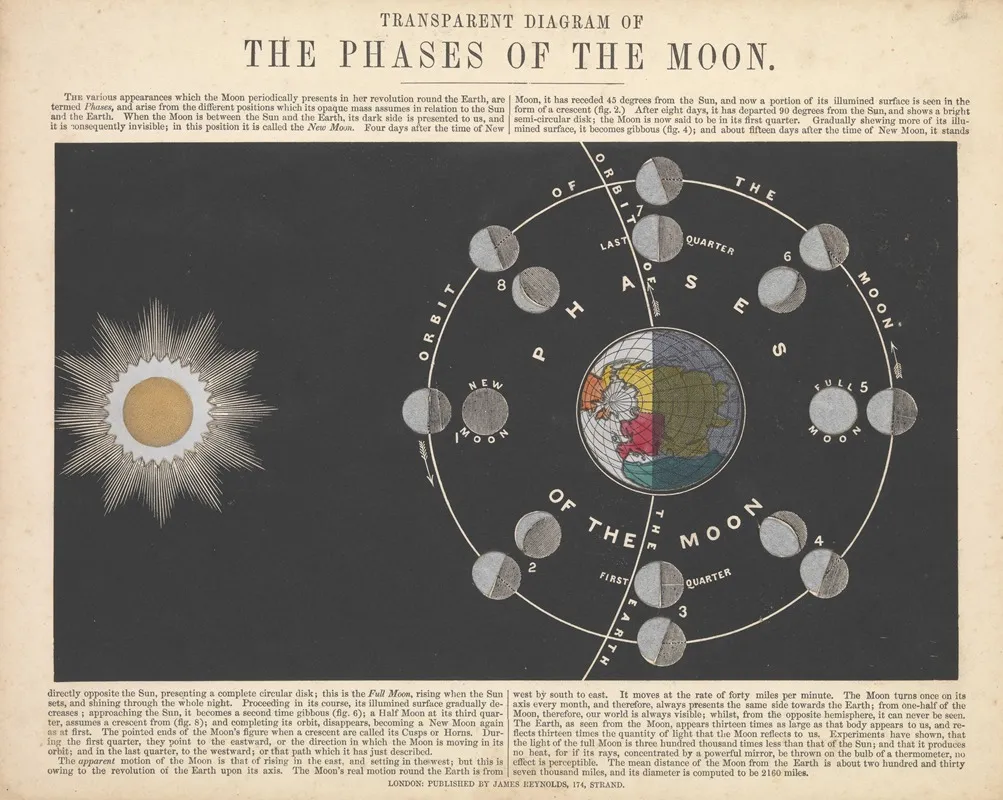 Transparent Diagram Of The Phases Of The Moon Wall Art by John Emslie - High-Resolution Digital Print
