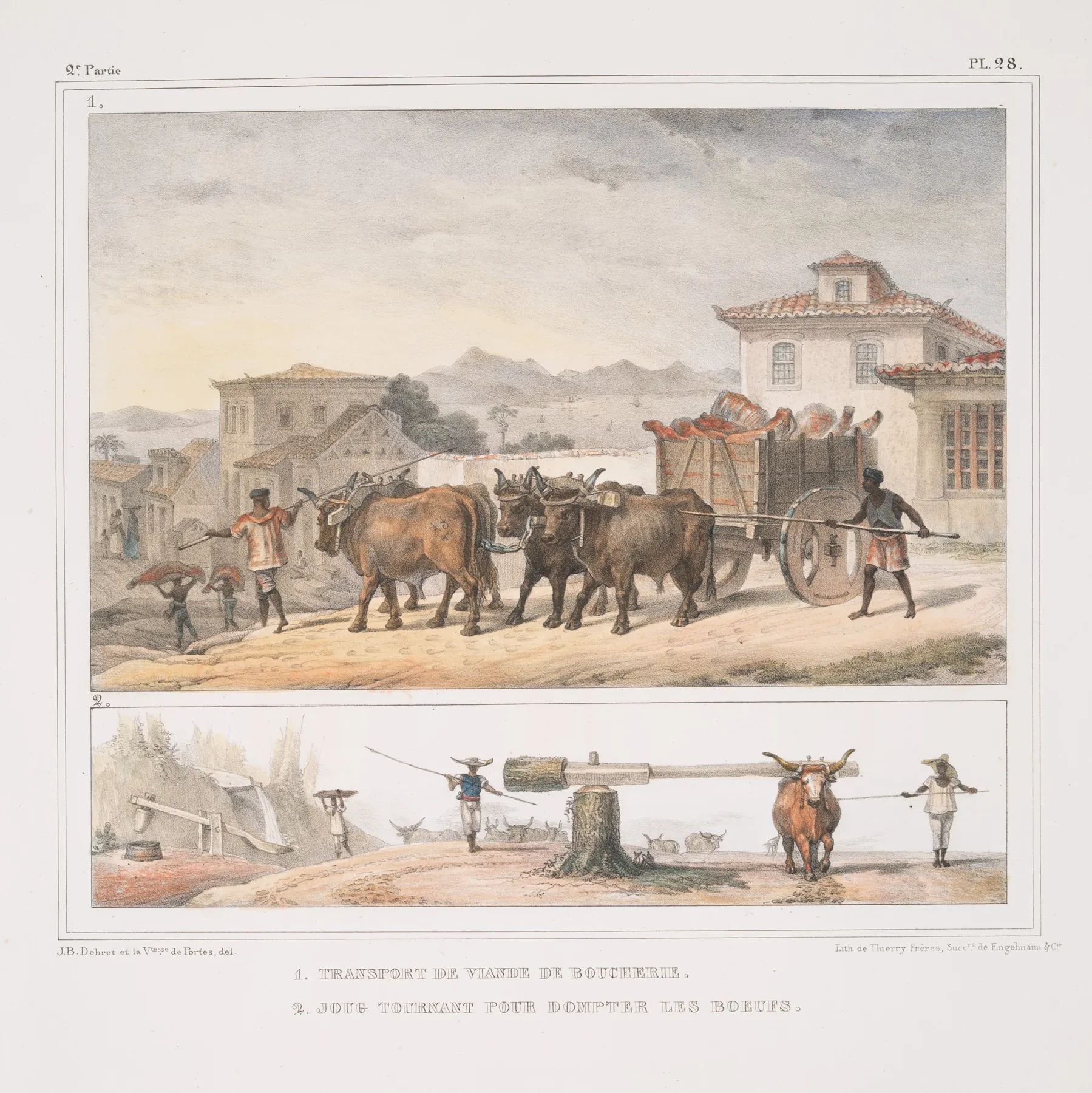 Transport De Viande De Boucherie Joug Tournant Pour Dompter Des Boeufs