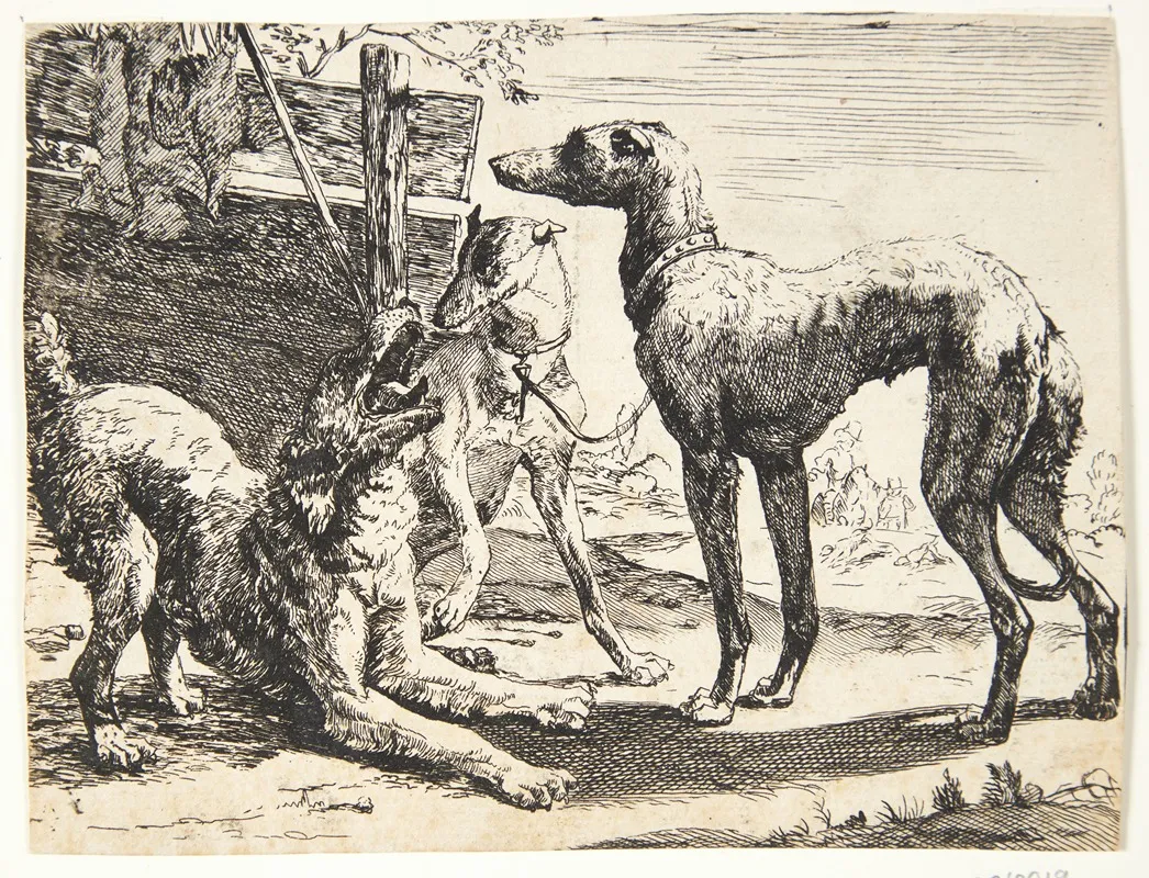 Tre Hunde 3 Wall Art by Paulus van Hillegaert II - High-Resolution Digital Print