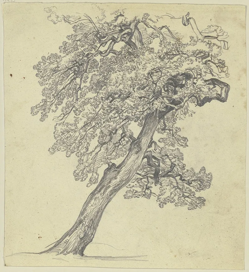 Tree 19