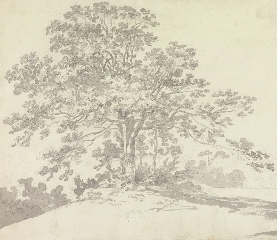 Tree 3