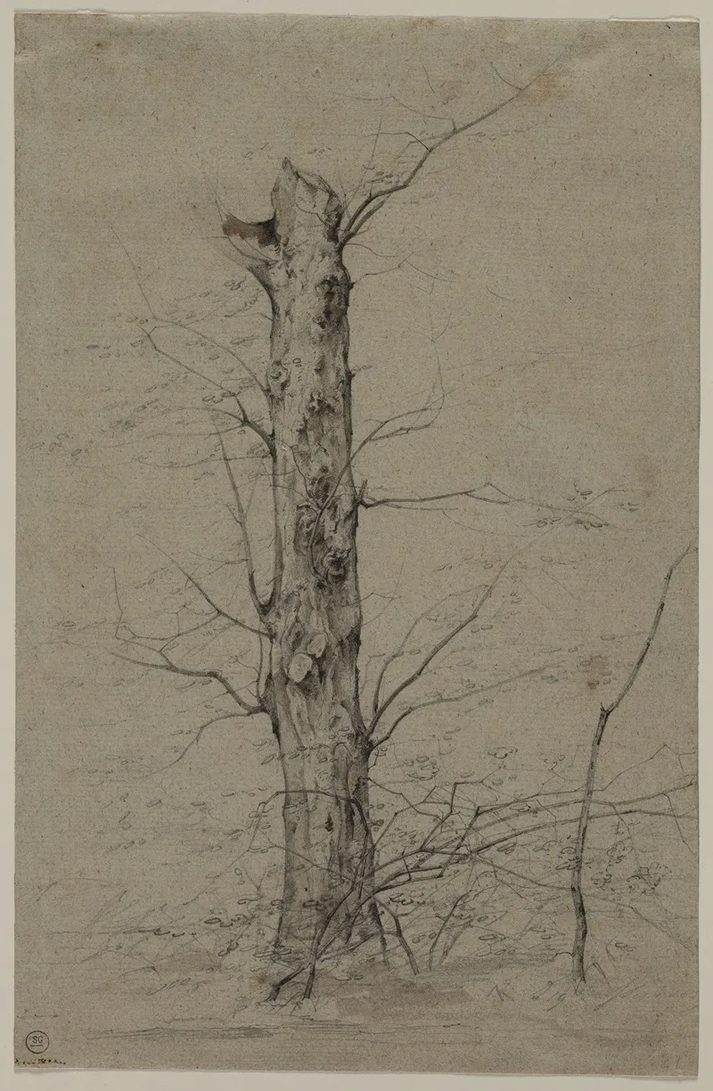 Tree 4