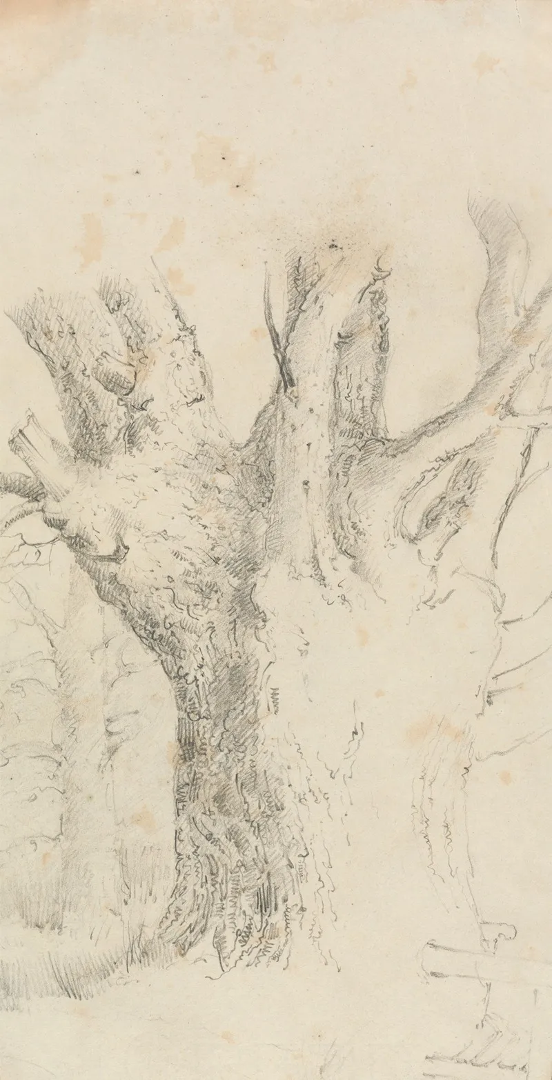 Tree 5 Wall Art by David Charles Read - High-Resolution Digital Print