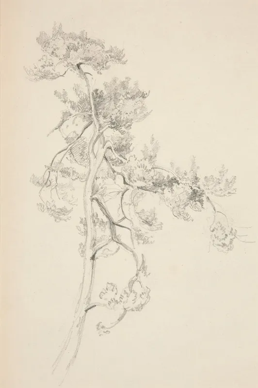 Tree And Foliage Wall Art by John Singer Sargent - High-Resolution Digital Print