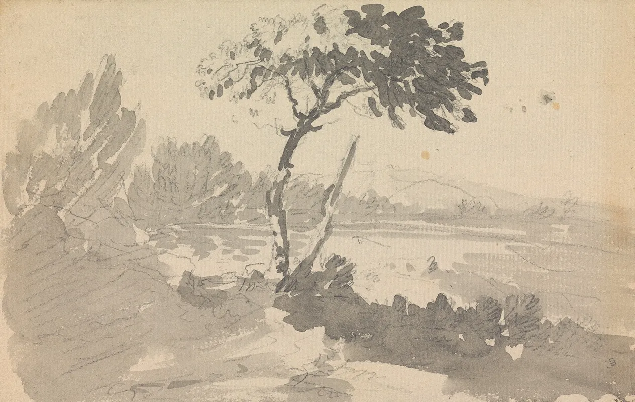 Tree And Lake