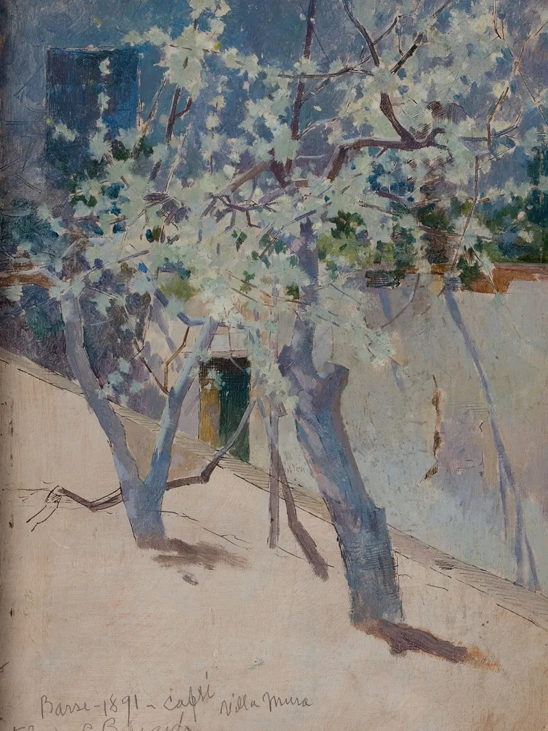 Tree Capri