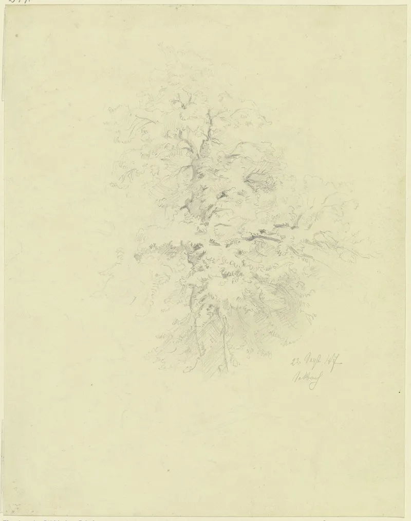Tree In Seckbach Wall Art by Angilbert Göbel - High-Resolution Digital Print