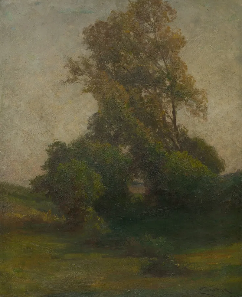 Tree In The Countryside