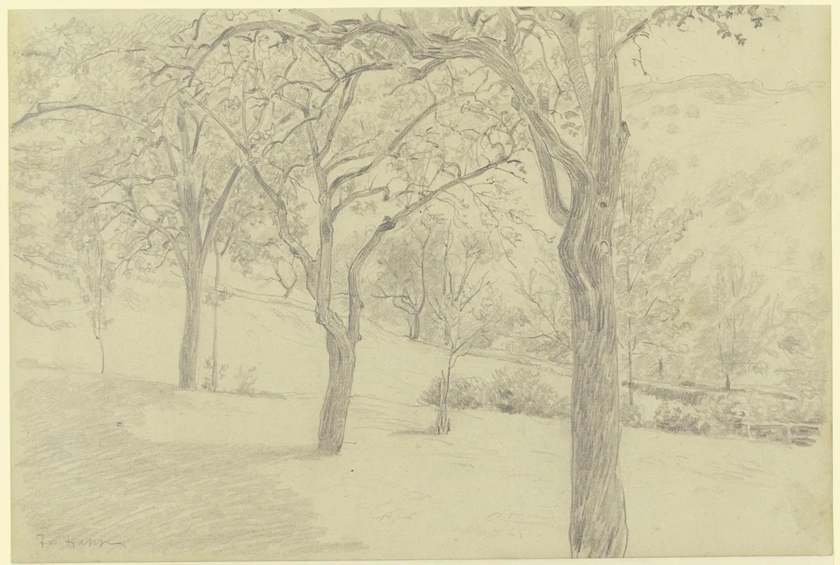 Tree Meadow