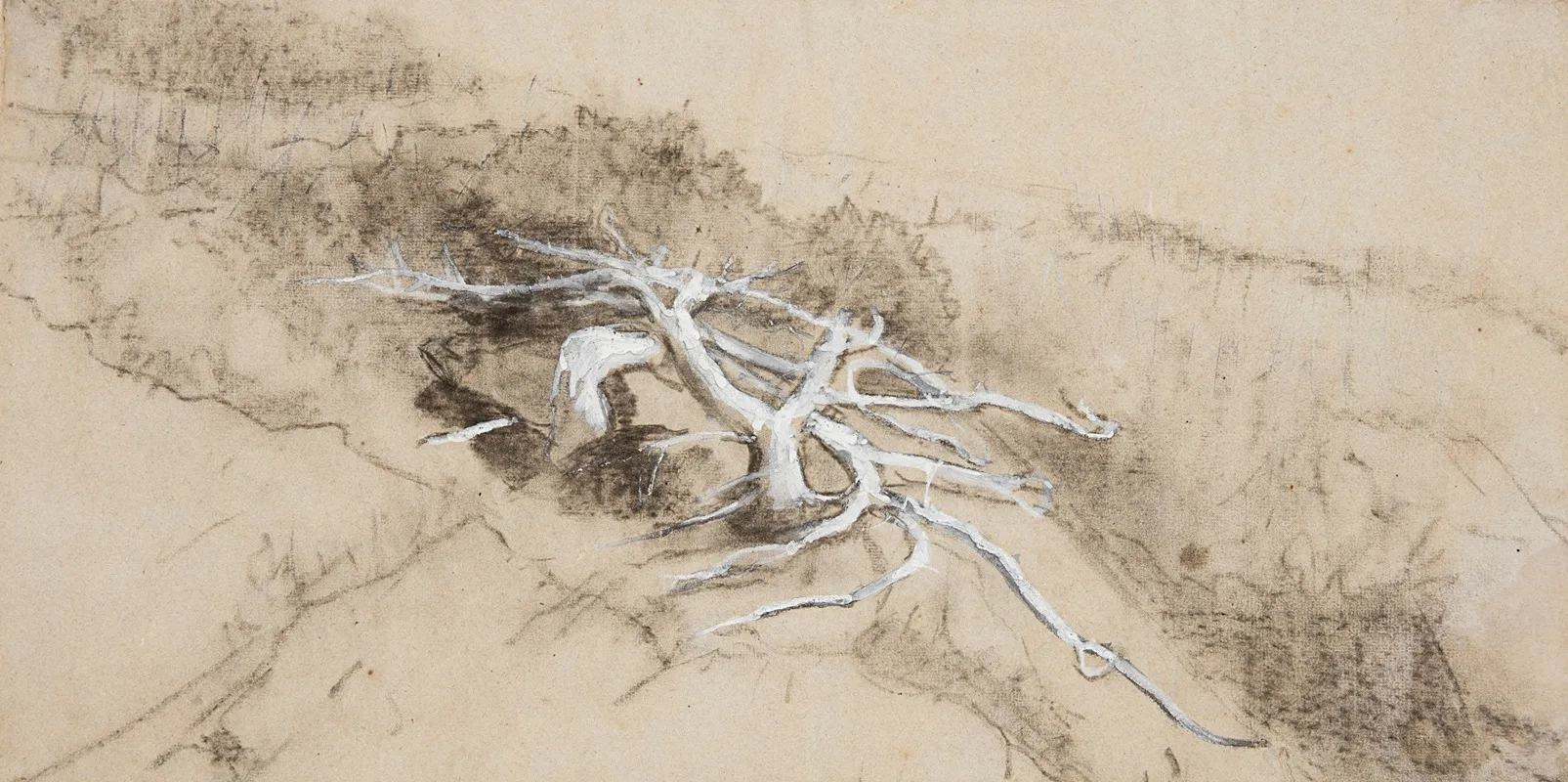 Tree Roots On A Hillside Prouts Neck Wall Art by Winslow Homer - High-Resolution Digital Print