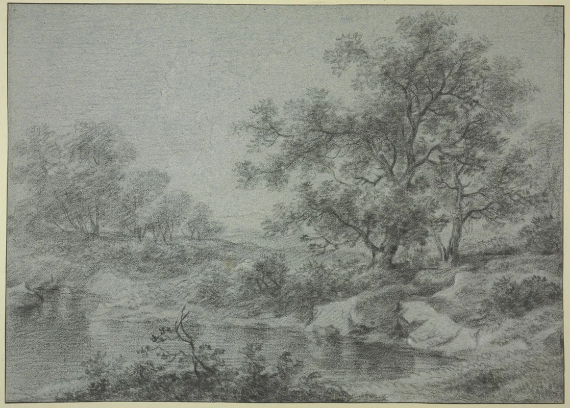 Tree Section By The Water