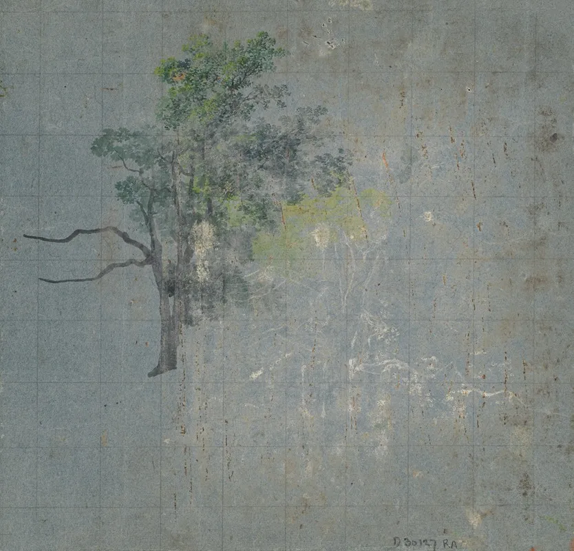 Tree Studies Verso Wall Art by Johann Jacob Dorner - High-Resolution Digital Print