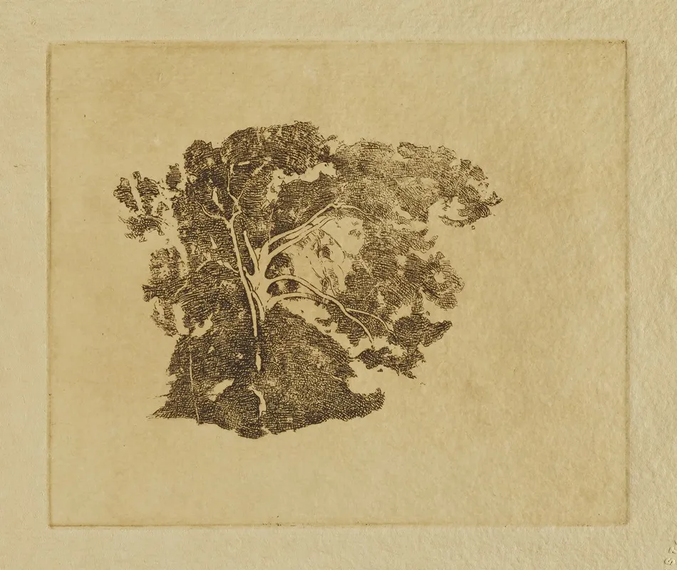 Tree Study 12