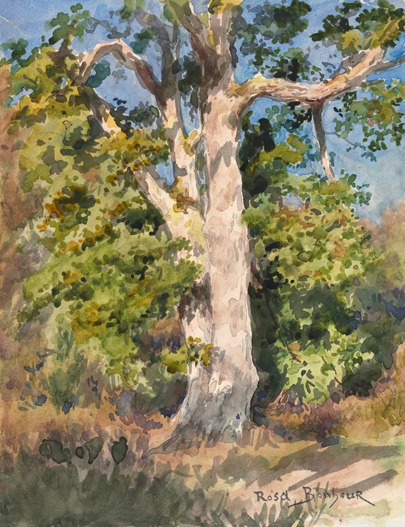 Tree Study 15 Wall Art by Rosa Bonheur - High-Resolution Digital Print