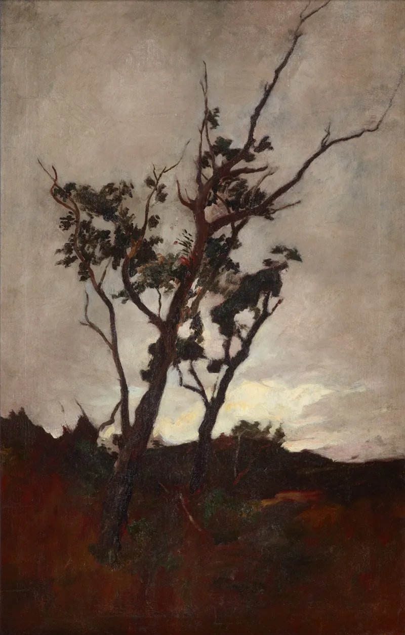 Tree Study