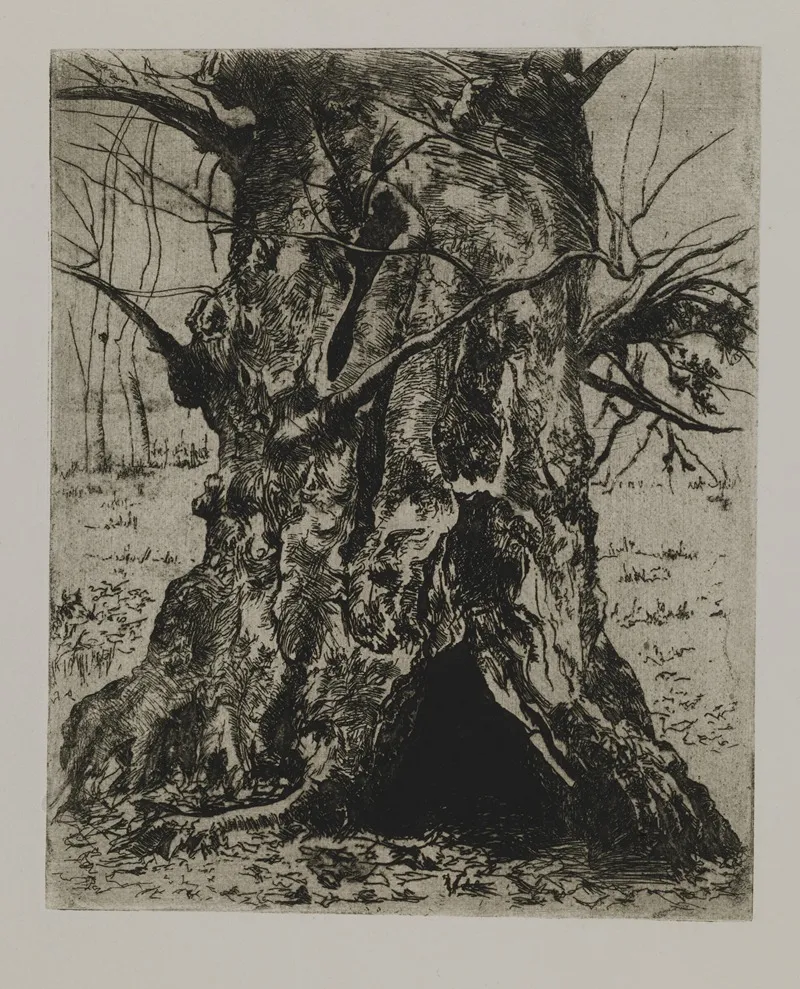 Tree Trunk 3