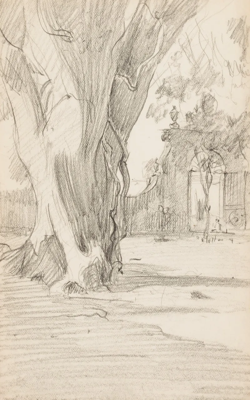 Tree Trunk With Gate