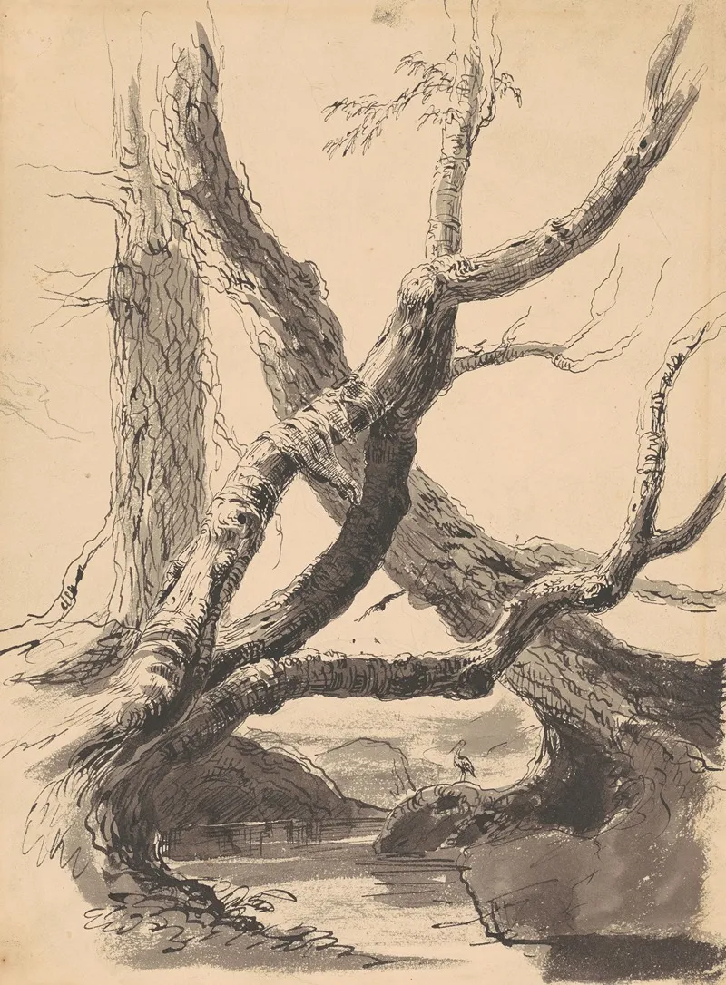 Tree Trunks 2 Wall Art by Thomas Cole - High-Resolution Digital Print