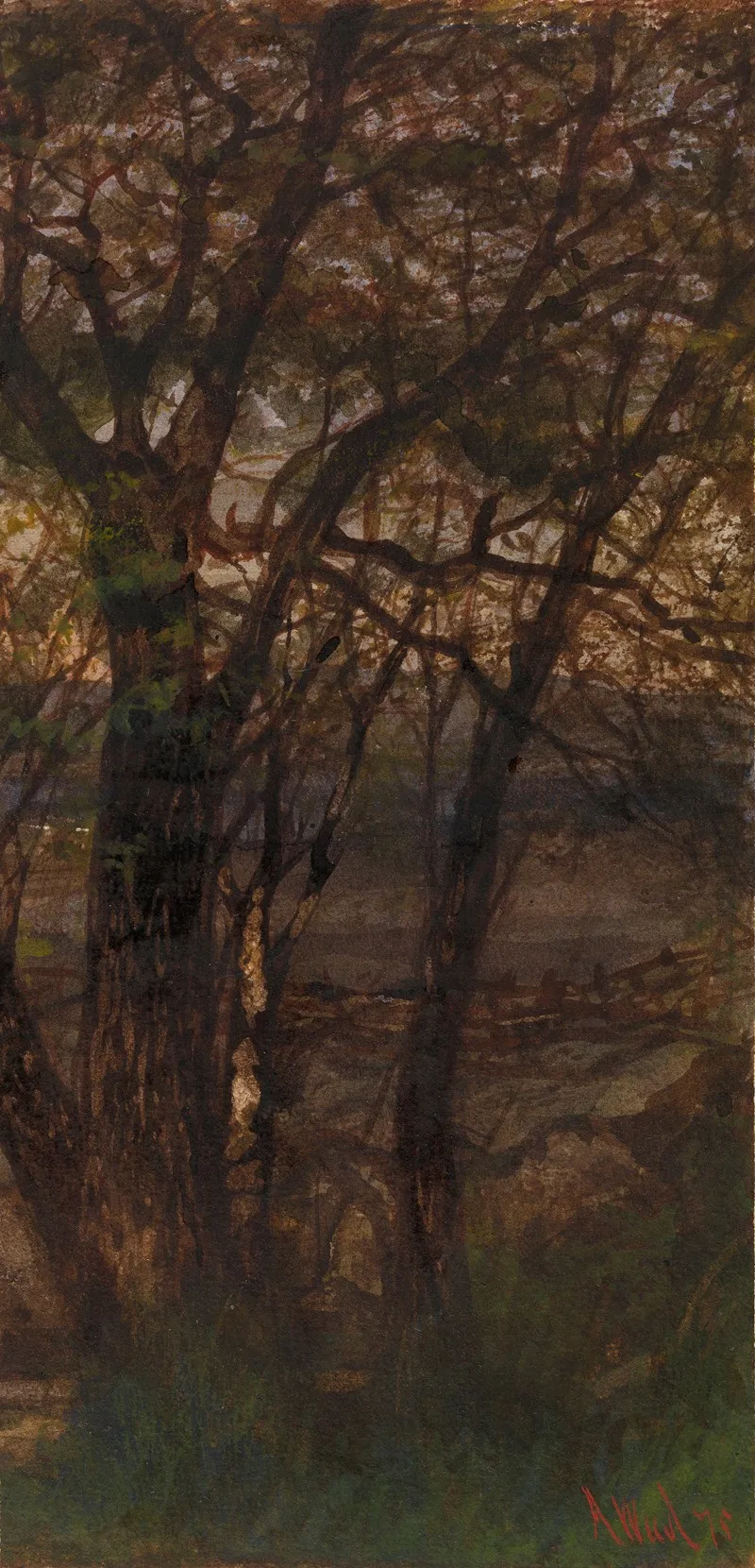 Trees 14 Wall Art by Alexander Wüst - High-Resolution Digital Print