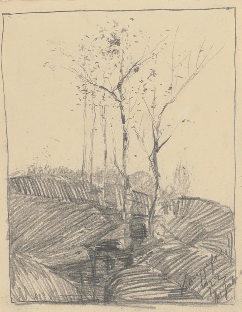 Trees 16