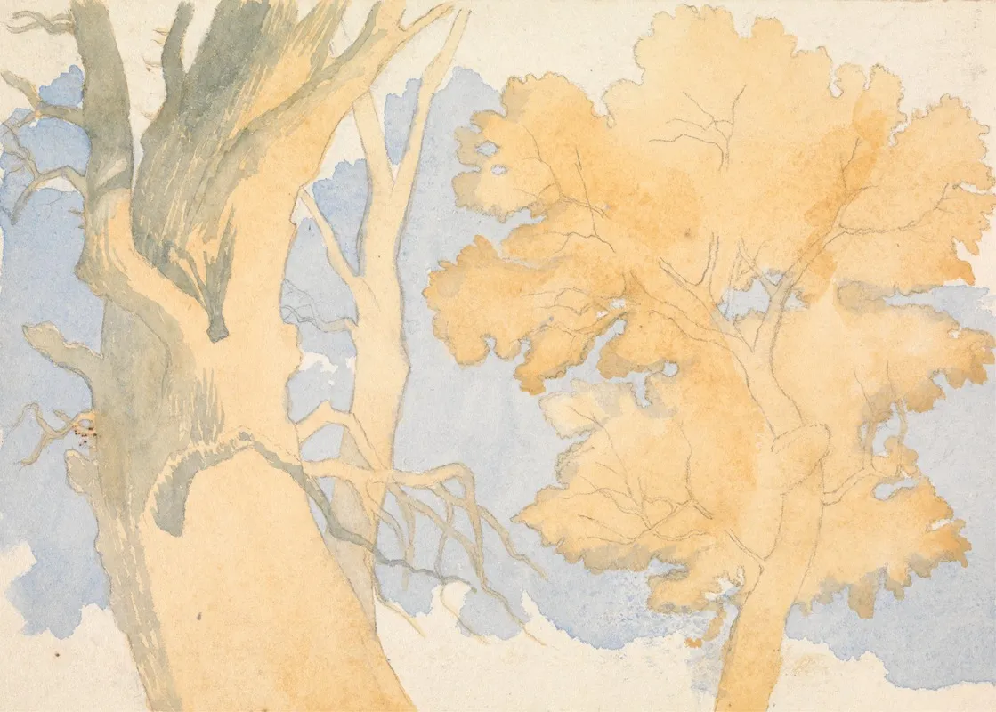 Trees 17 Wall Art by Richard Pettigrew Leitch - High-Resolution Digital Print
